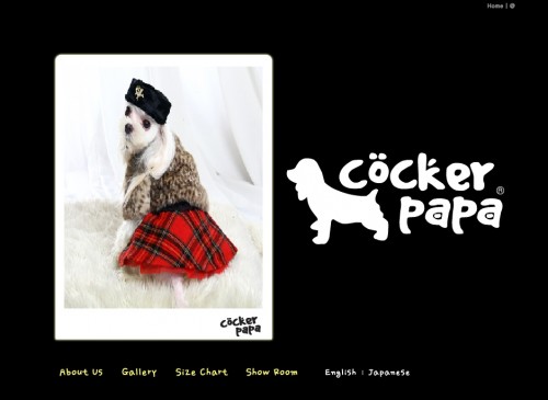 blog